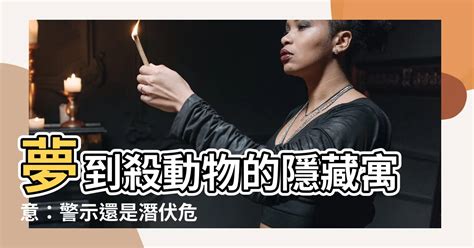 夢到殺動物